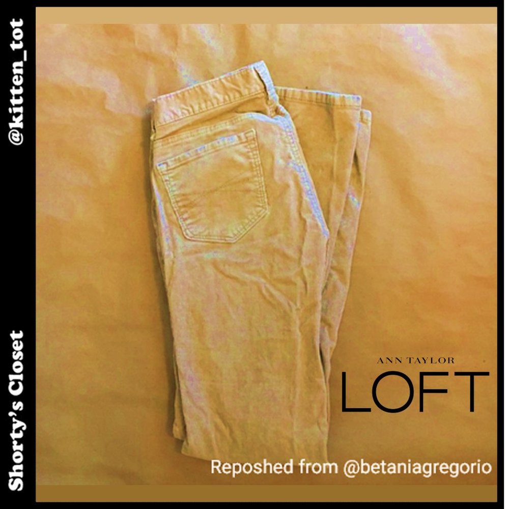 DONATED - 🚫EUC! Tan LOFT cords🚫